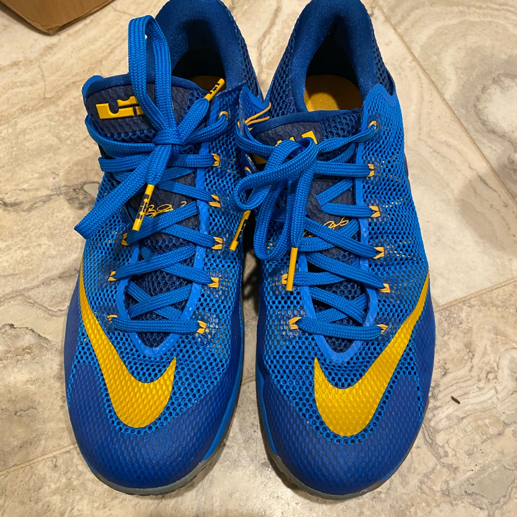 Lebron 12s